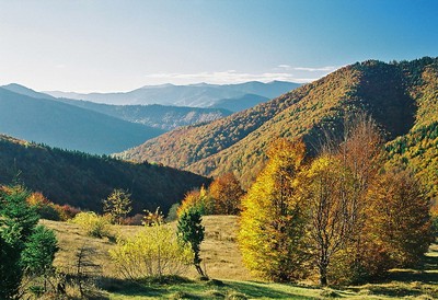 Справка в лагерь (форма 079/у)